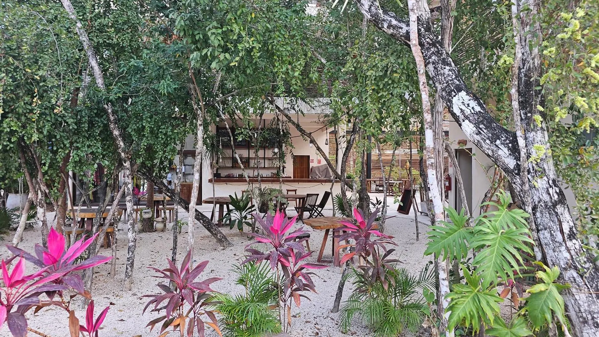 Enjoy Nature Tulum 0*,